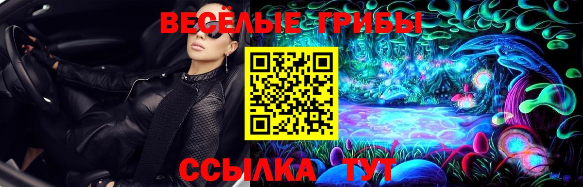 Псилоцибиновые грибы MAGIC MUSHROOMS  Вход с VPN  Тимашёвск  Псилоцибиновые грибы мухоморы 