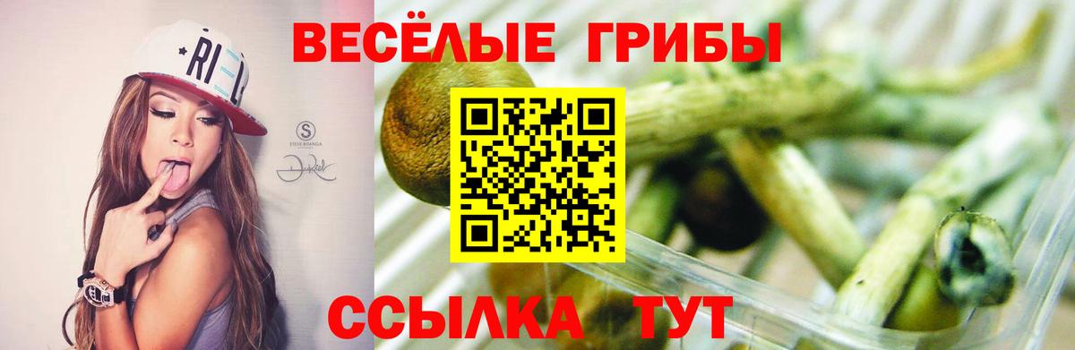 Галлюциногенные грибы прущие грибы Тимашёвск